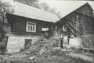 dom, skan 2