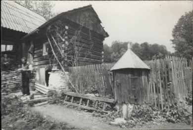 dom, skan 3