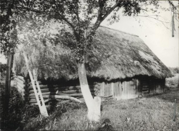 stodoła, skan 2
