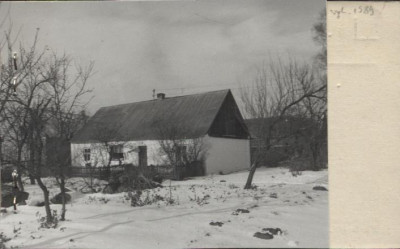 dom, skan 2