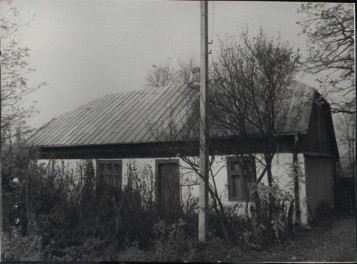 dom, skan 6