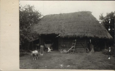 stodoła, skan 2
