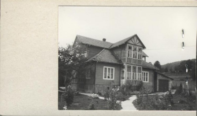 willa, skan 2