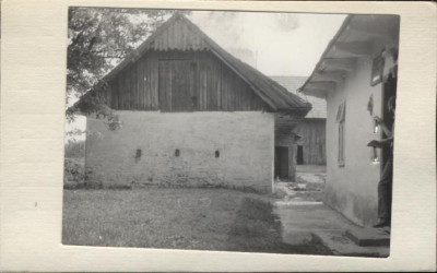 stajnia, skan 2