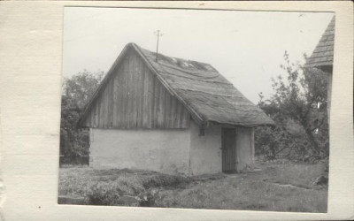 spichlerzyk, skan 2