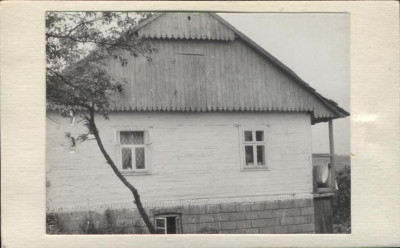 dom, skan 2