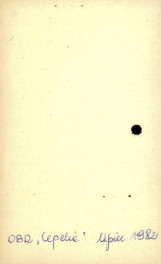 lamus dworski, skan 2