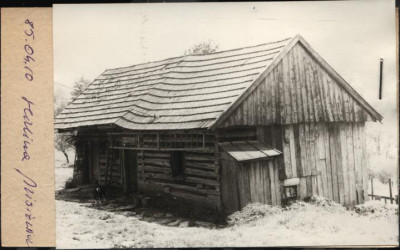 stajnia, skan 2