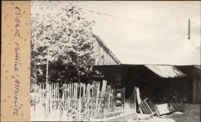 stajnia, skan 2