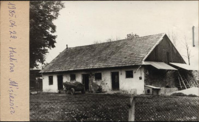 stajnia, skan 2