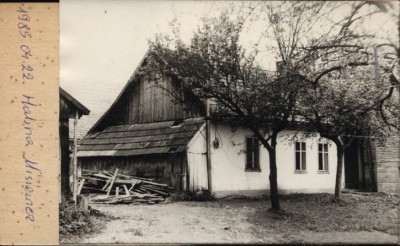 dom, skan 2