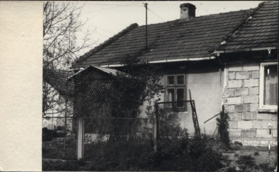 dom, skan 2