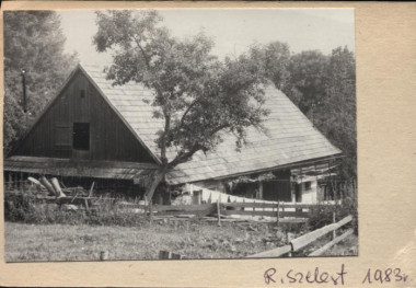 stajnia, skan 2