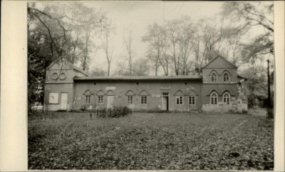 oranżeria dworska, skan 2