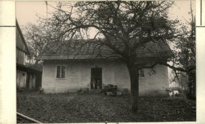 dom, skan 2