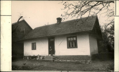 dom, skan 2