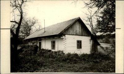 dom, skan 2