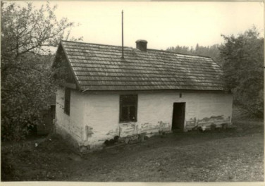 dom, skan 2