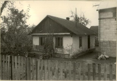 dom, skan 2