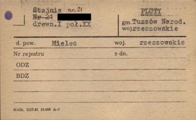 stajnia, skan 1