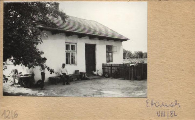 dom, skan 2
