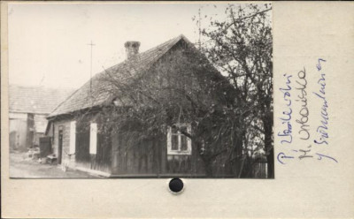dom, skan 2
