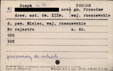 szopka, skan 1