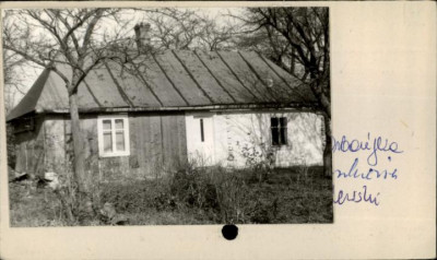 dom, skan 2