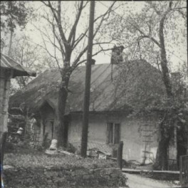 dom, skan 3