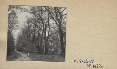 dębnik, d. zwierzyniec, skan 2