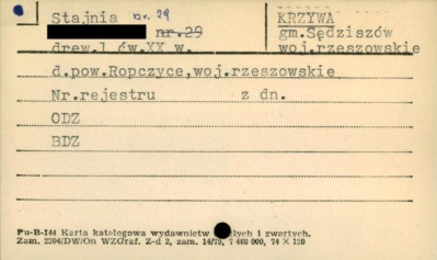 stajnia, skan 1