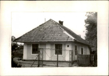 dom, skan 2