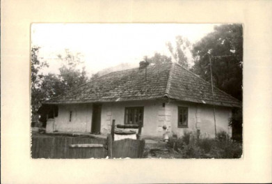 dom, skan 2
