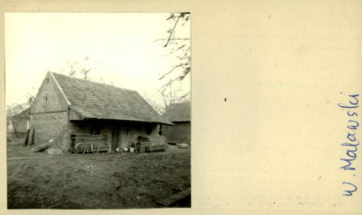 stajnia, skan 2