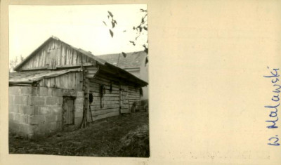 stajnia, skan 2