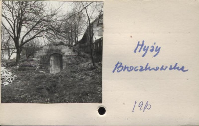 piwniczka, skan 2