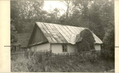 dom, skan 2