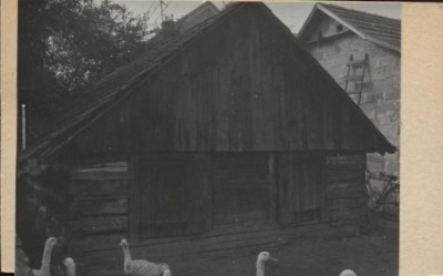 piwnica, skan 2