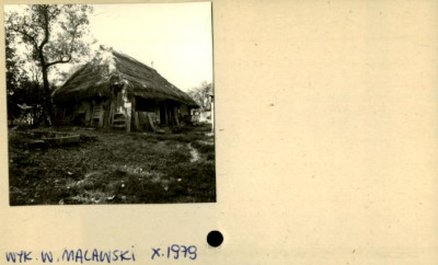 stajnia, skan 2
