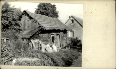 drewutnia, skan 2