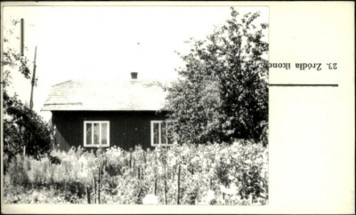 dom, skan 3