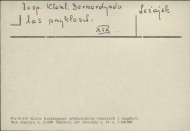 zespół klasztorny bernardynów - las przyklaszt., skan 1