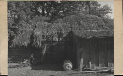 stodoła, skan 2