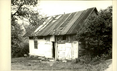 dom, skan 2