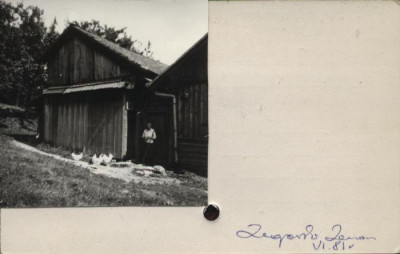 stajnia, szopa, skan 2