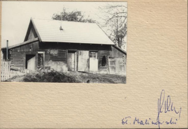 stajnia, skan 2