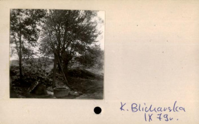 żuraw studzienny, skan 2