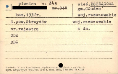 piwnica, skan 1
