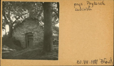 piwnica, skan 2
