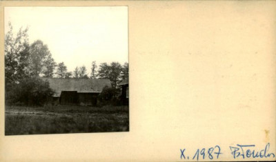 stajnia, skan 2